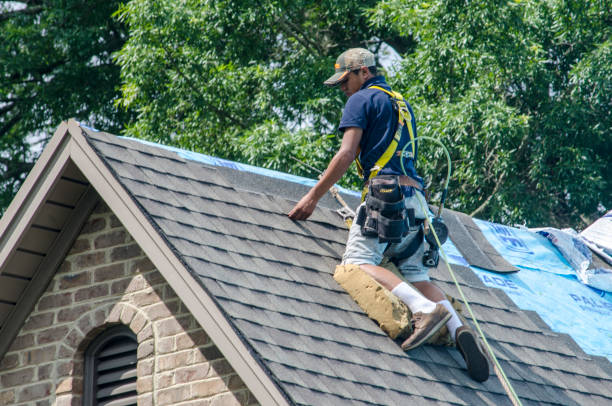 Best Gutter Installation and Roofing  in Walker Mill, MD